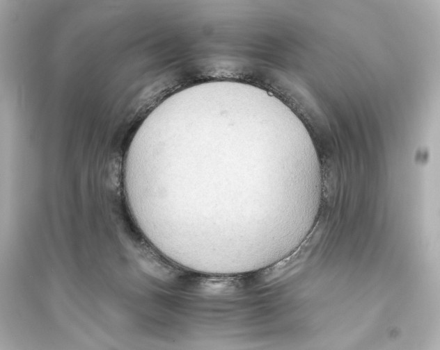 X0000093590175200711121133
