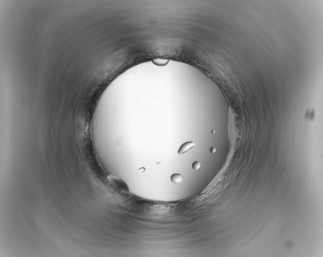 X0000093590176200711121133