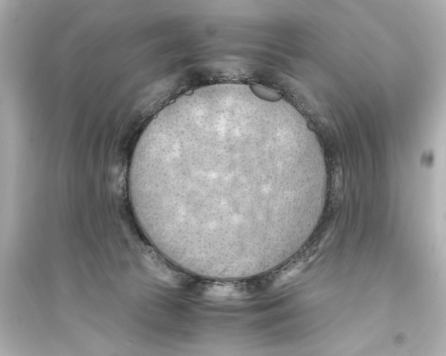 X0000093590177200711121133