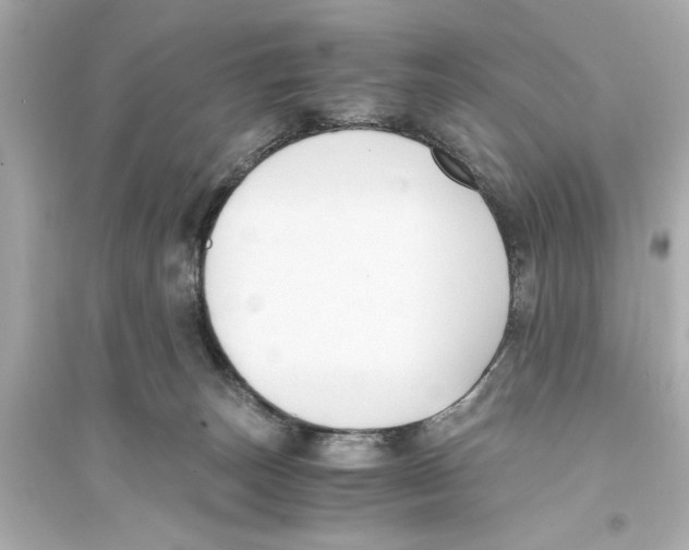 X0000093590179200711121133