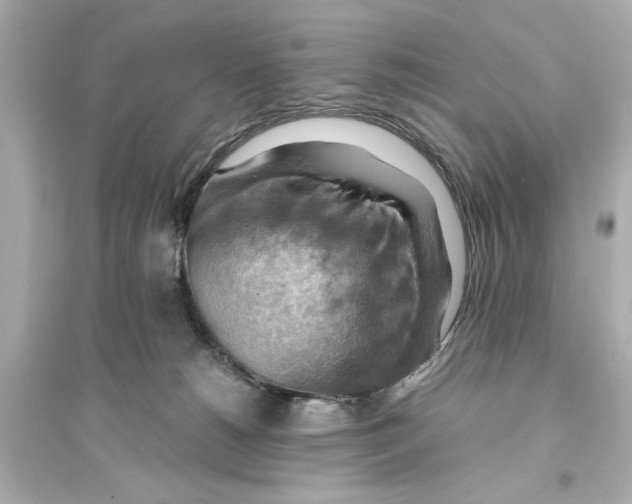X0000093590180200711121133