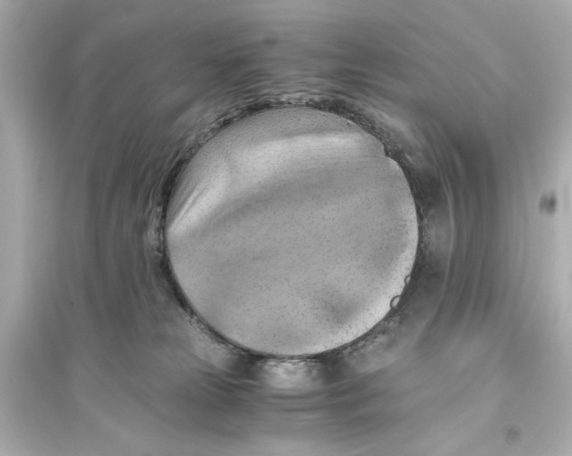 X0000093590181200711121133