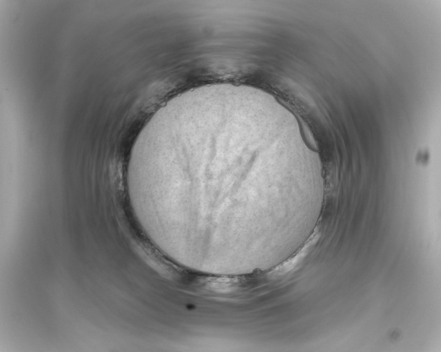 X0000093590182200711121133