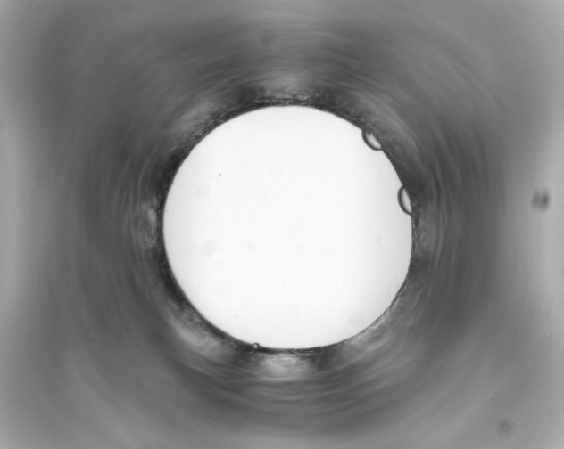 X0000093590183200711121133