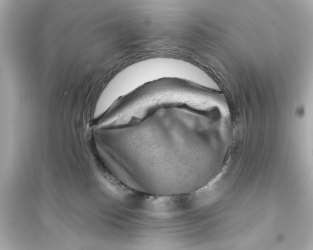 X0000093590186200711121133