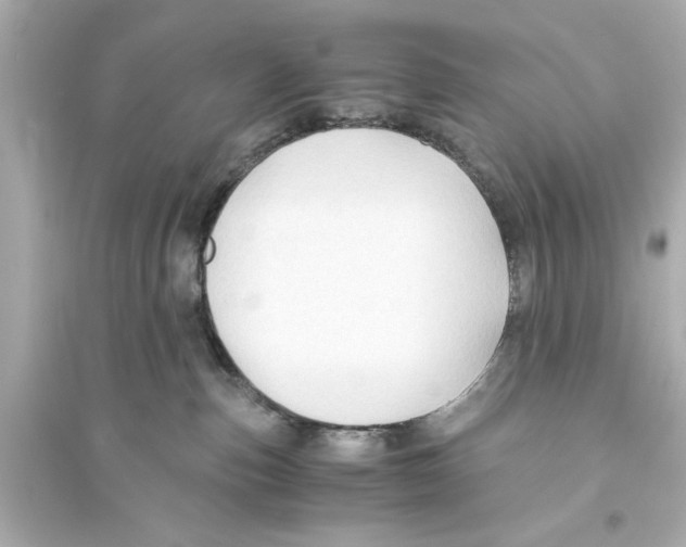 X0000093590187200711121133
