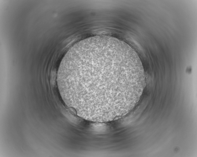 X0000093590189200711121133