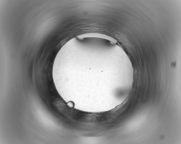 X0000093590190200711121133