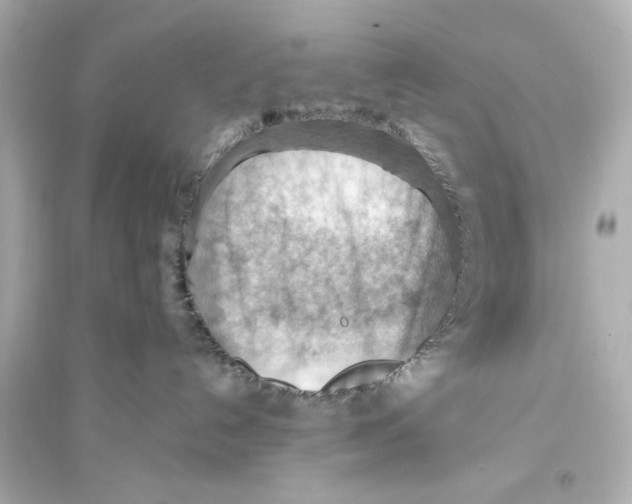 X0000093590192200711121133