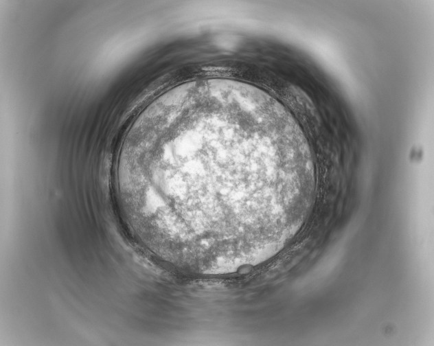 X0000093590194200711121133
