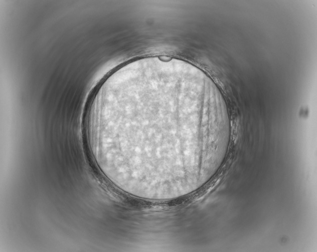 X0000093590196200711121133