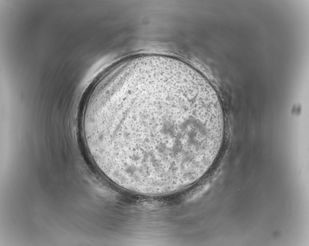 X0000093590199200711121133