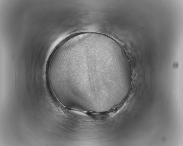 X0000093590200200711121133