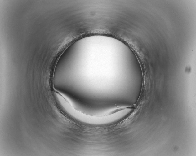 X0000093590201200711121132