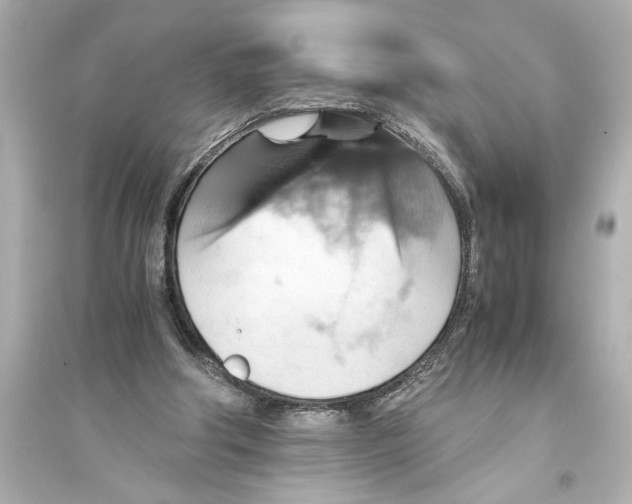 X0000093590202200711121132