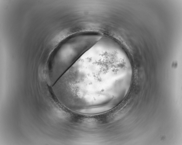 X0000093590203200711121132