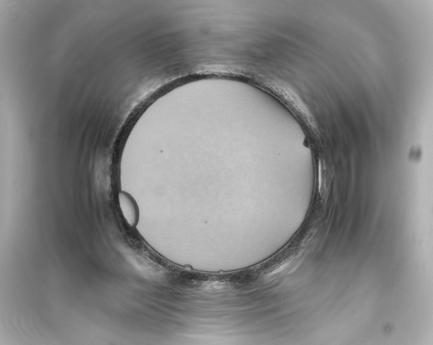 X0000093590204200711121132