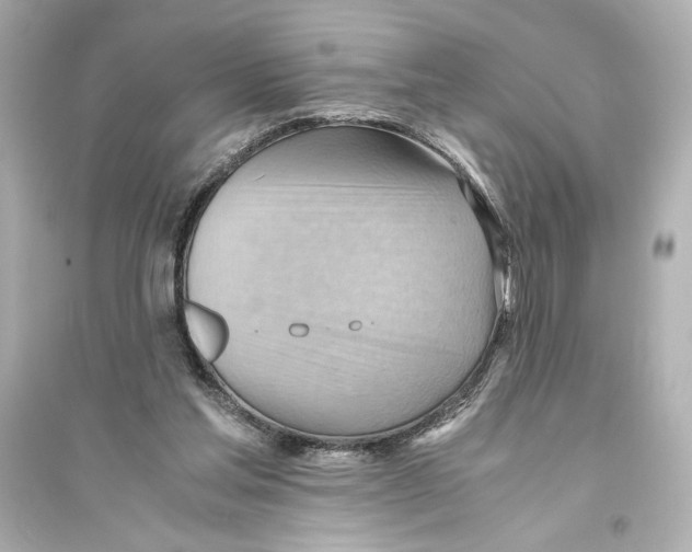 X0000093590205200711121132
