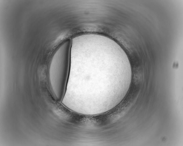 X0000093590207200711121132