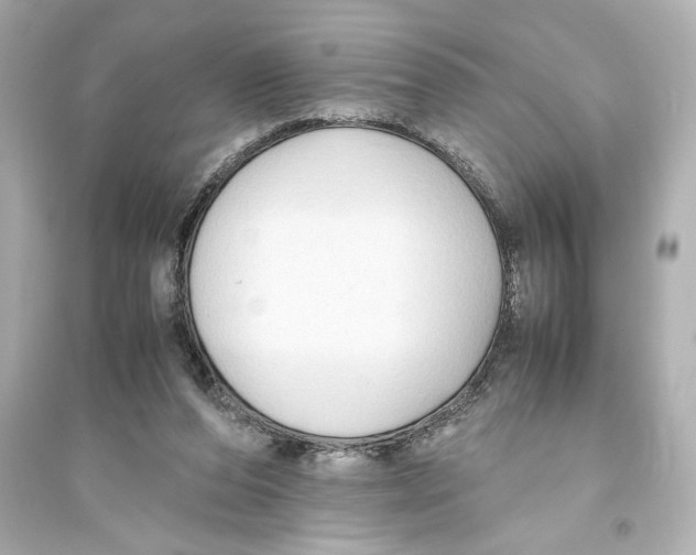 X0000093590208200711121132