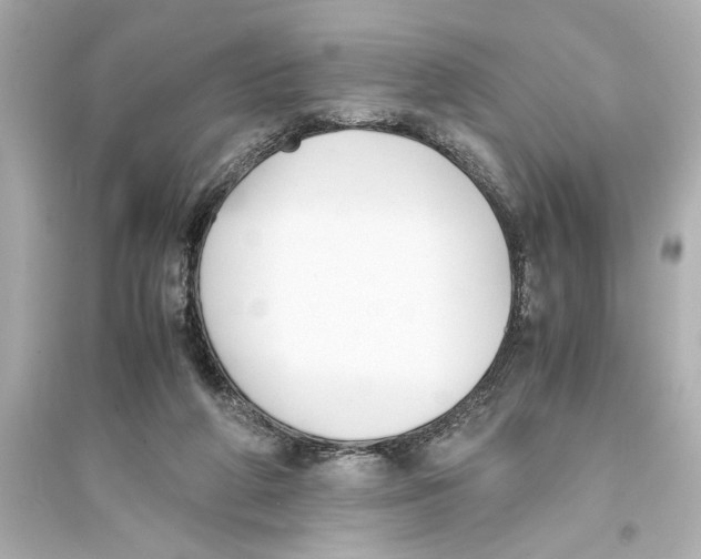 X0000093590210200711121132