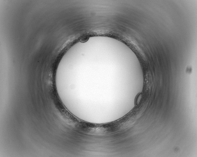 X0000093590212200711121132