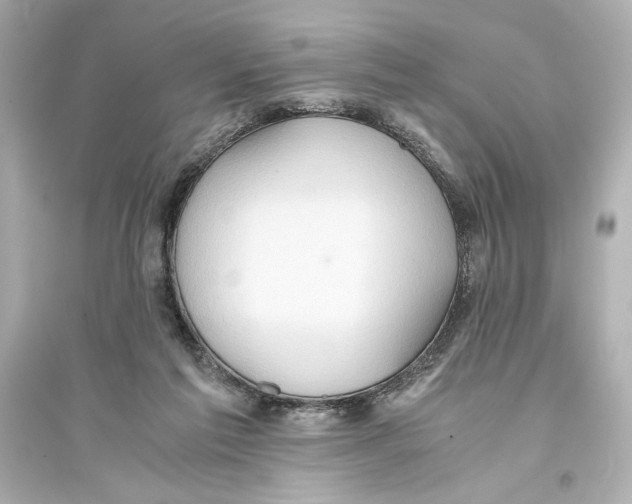 X0000093590213200711121132