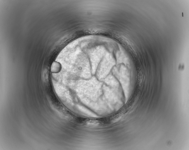 X0000093590214200711121132