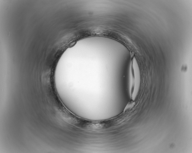 X0000093590217200711121132