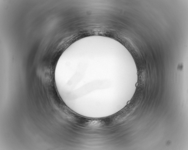 X0000093590218200711121132