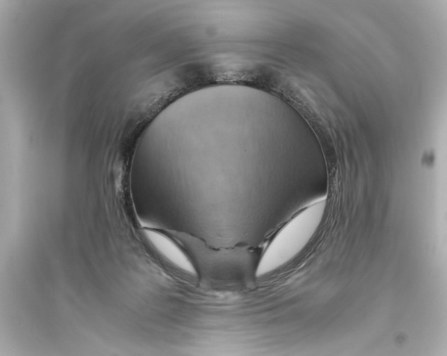 X0000093590219200711121132