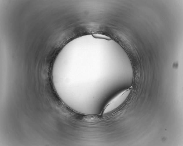 X0000093590221200711121132