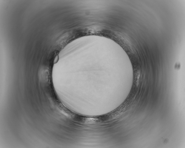 X0000093590222200711121132