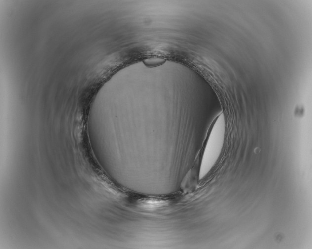 X0000093590223200711121132