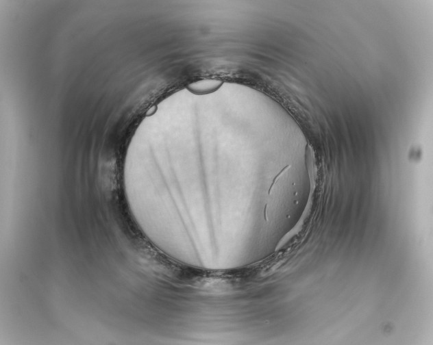 X0000093590224200711121132
