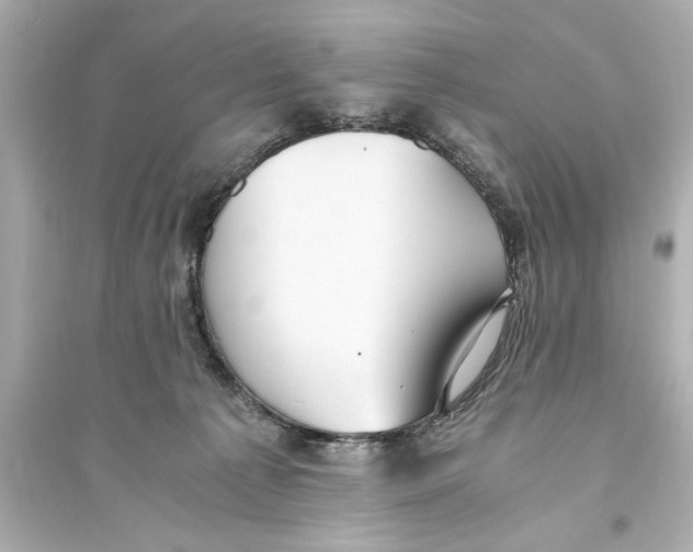 X0000093590225200711121132