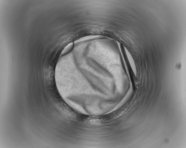 X0000093590228200711121132