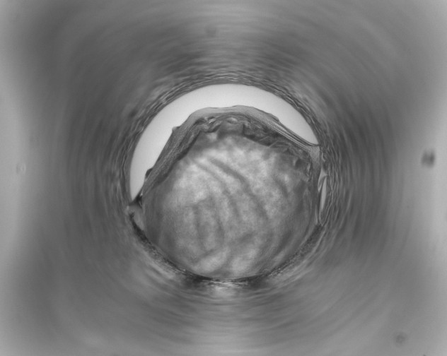 X0000093590229200711121132