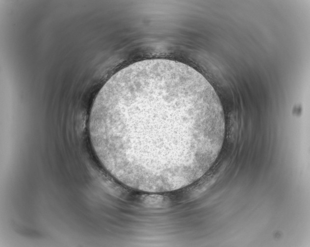 X0000093590230200711121132