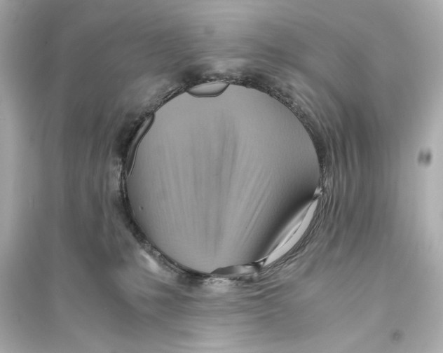 X0000093590231200711121132