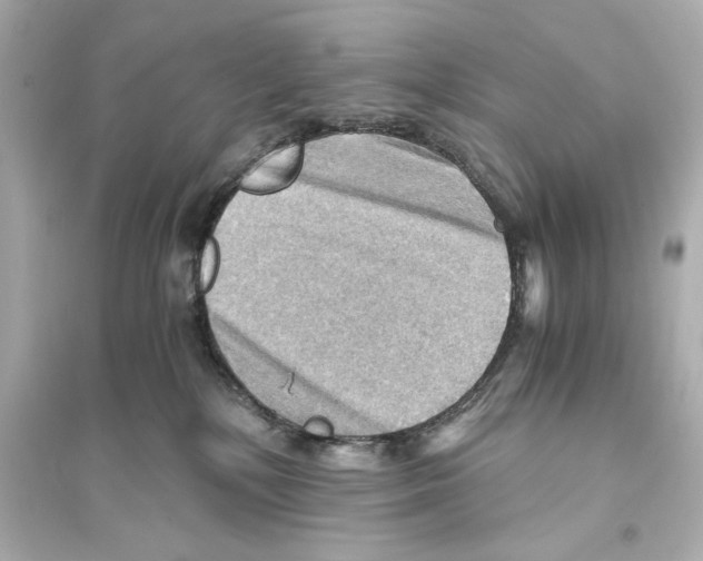 X0000093590232200711121132