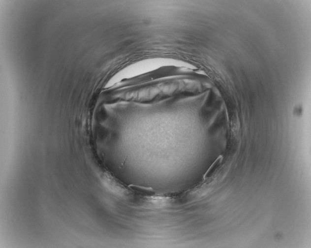 X0000093590233200711121132