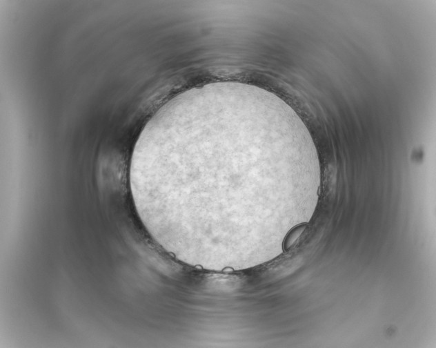 X0000093590234200711121132