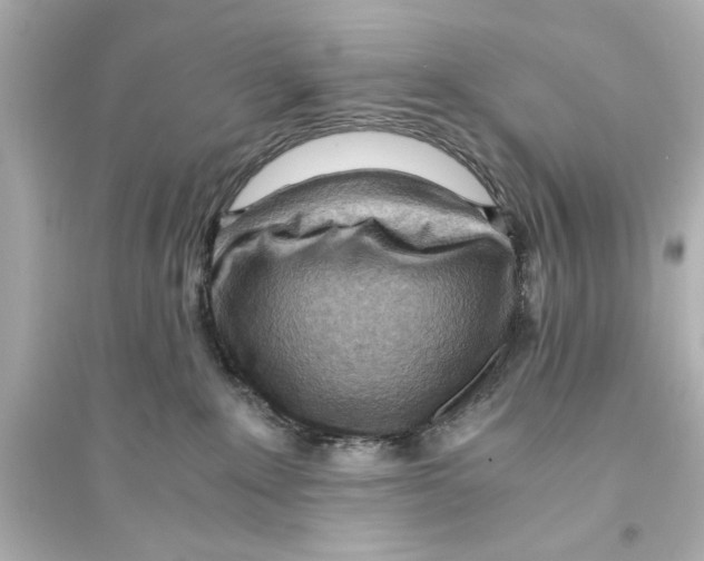 X0000093590235200711121132