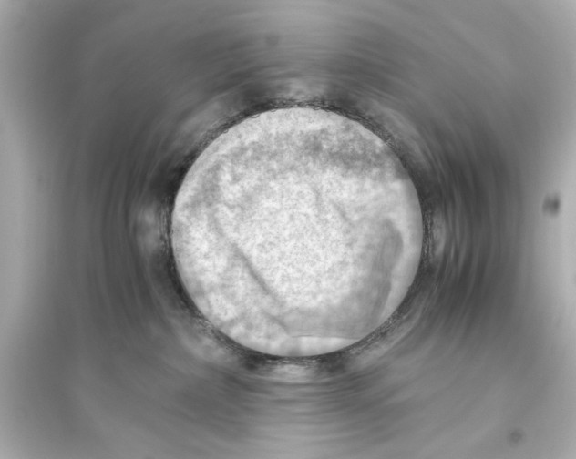 X0000093590236200711121132