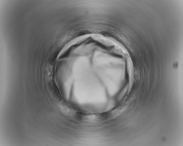 X0000093590237200711121132