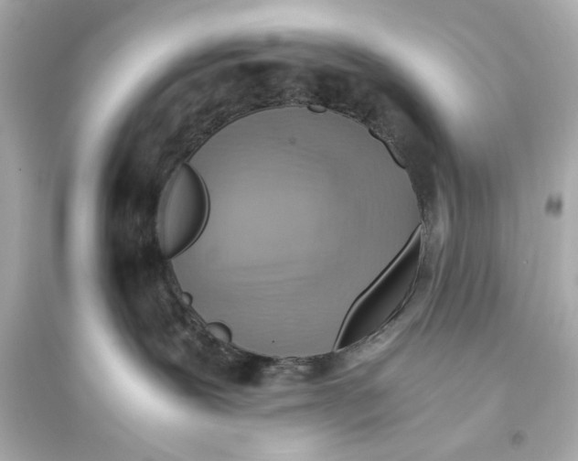 X0000093590239200711121132