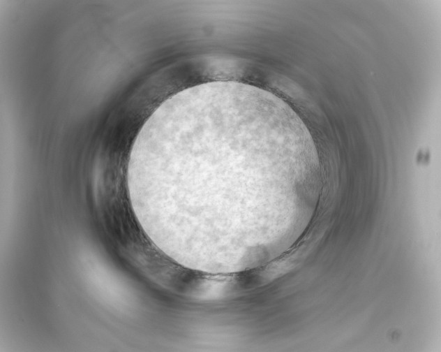 X0000093590240200711121132