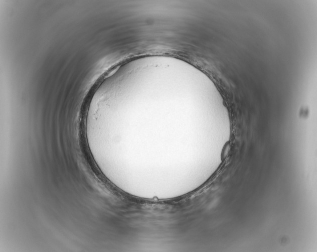 X0000093590242200711121131