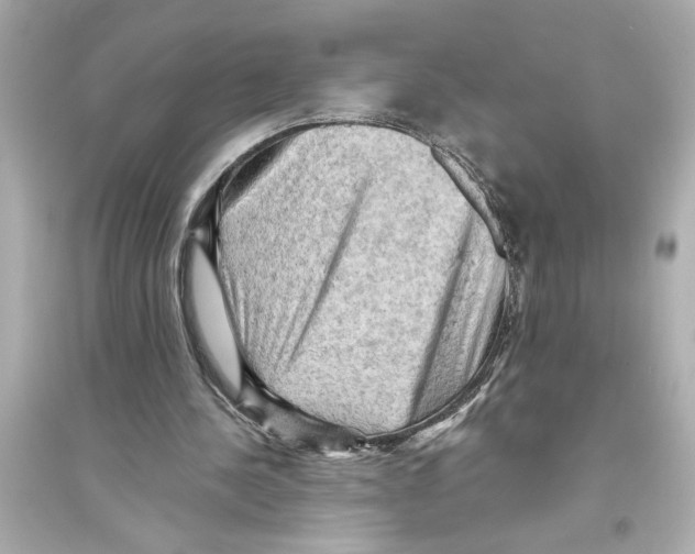 X0000093590244200711121131